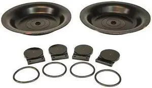 DAYTON 34TJ48 Repair Pump Kit,Air Operated,Buna N