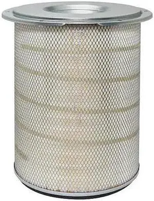 BALDWIN FILTERS PA4571 Air Filter,13-13/16 x 18-1/2 in.