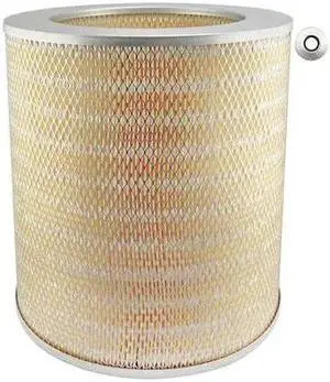 BALDWIN FILTERS PA1630-2 Air Filter,13-13/16 x 14 in.