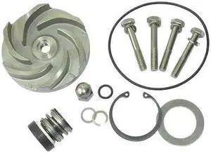 DAYTON 21TG93 Pump Repair Kit,For 2ZWZ3A