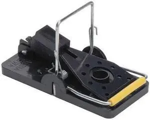 KNESS PEST DEFENSE 102-0-007 Mouse Trap,4 In. L,3 In. W, 1-3.4 In. H