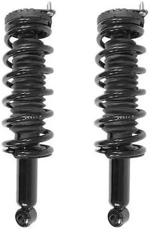 UNITY 2-15910-001 2-15910-001 Rear Complete Strut Assembly Kit