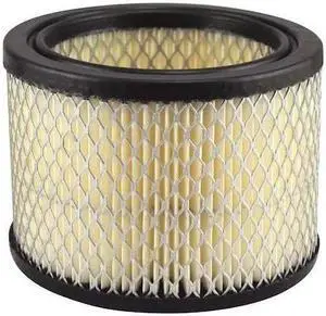 BALDWIN FILTERS PA1857 Air Filter,5-3/4 x 4-1/8 in.