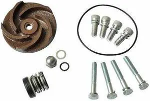 DAYTON 21TG36 Pump Repair Kit,For 2ZWN9A