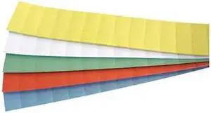 MAGNA VISUAL DC-30-3M Data Cards,5 Colors 8.5x11",PK1000