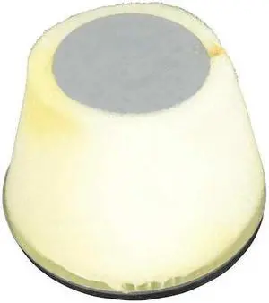 WESTWARD TT10Z916VSG Vacuum Sponge and Paper Filter