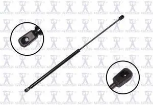 FCS STRUTS 86225 Lift Support Hatch, 86225