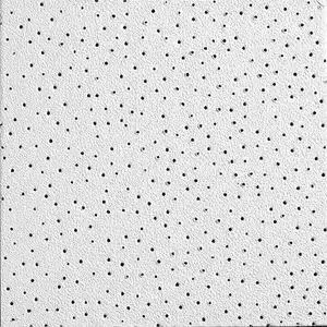 ARMSTRONG 869B VL Perforated Ceiling Tile, 24 in W x 24 in L , PK12