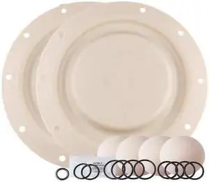 ARO 637140-EB Pump Repair Kit