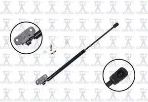 FCS STRUTS 84146 Lift Support Hood, 84146