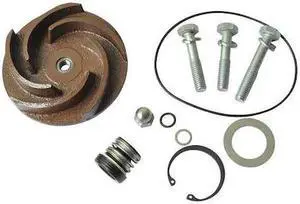 DAYTON 21TG81 Pump Repair Kit,For 2ZWX9A