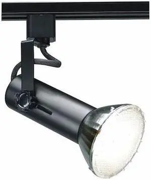 NUVO TH227 1-Light, 2 in., Track Head, Universal Holder, Black Finish