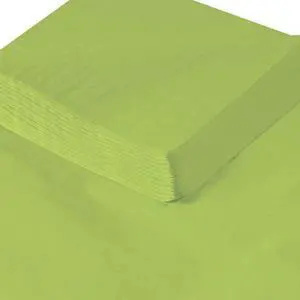 PARTNERS BRAND T2030N Tissue Paper, Gift Grade, 20" x 30", Citrus Green, PK480