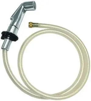 ZORO SELECT 30174 Side Spray Head with Hose, 5", Metal