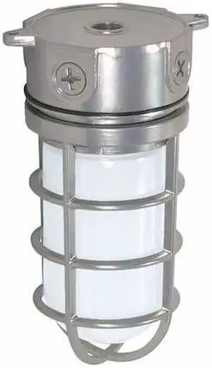 NUVO SF76-624 1-Light - 10in. - Industrial Style - Surface Mount with Frosted