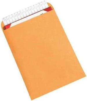PARTNERS BRAND EN1060 Self-Seal Envelopes, 9" x 12", Kraft, 500/Case