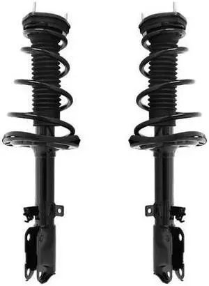 UNITY 2-15073-15074-001 2-15073-15074-001 Rear Complete Strut Assembly Kit