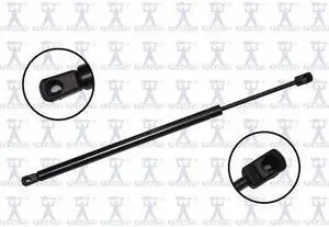 FCS STRUTS 84692 Lift Support Hood, 84692