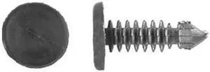 ZORO SELECT 8172PK Push-In Rivet, Dome Head, 0.188 in Dia., 21/32 in L, Nylon