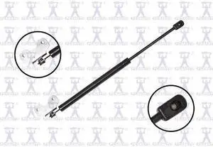 FCS STRUTS 84157 Lift Support Hood, 84157
