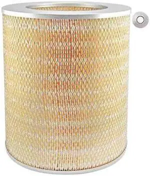 BALDWIN FILTERS PA1642-2 Air Filter,12-1/32 x 13 in.