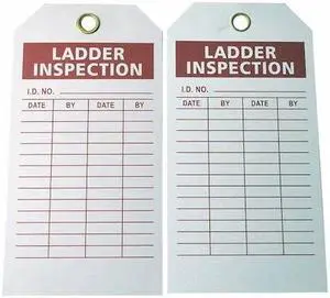 ZORO SELECT 9K964 Tag, Ladder Inspection, Polyester, 3 in H x 5 3/4 in W,