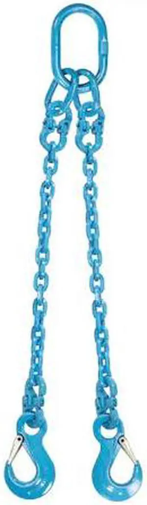 US CARGO CONTROL 12G120DOS-10 1/2" x 10' - Pewag 2 Leg Chain Sling w/ Sling