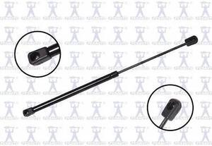 FCS STRUTS 84619 Lift Support Trunk Lid, 84619
