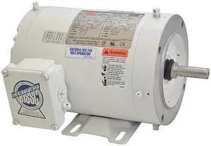 DAYTON 1TRZ8 Washdown Motor,3 Ph,TENV,3/4 HP,3450 rpm