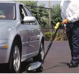 SEE ALL INDUSTRIES DUC-18C Inspection Mirror,Outdoor Dluxe,18in dia