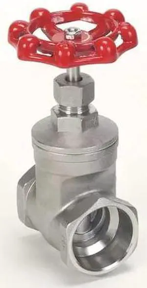 ZORO SELECT 4VMX2 Gate Valve,Class 200,2 In,316 SS