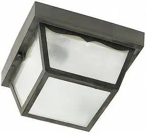 NUVO SF77-891 2-Light - 10ft.ft. - Carport Flush Mount - With Frosted Acrylic