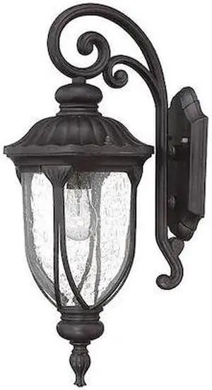 ACCLAIM LIGHTING 2212BC Wall Light,Black Coral,1-Light