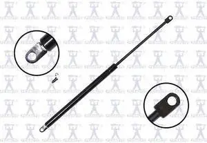 FCS STRUTS 84434 Lift Support Hatch, 84434