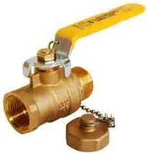 LEGEND VALVE 101-570 3/4 T1002CC BV W/CAP & CHAIN
