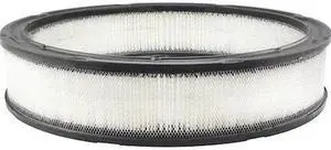 BALDWIN FILTERS PA2010 Air Filter,12-3/4 x 2-3/4 in.