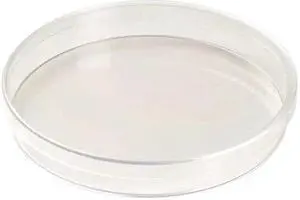 ZORO SELECT 11L825 150x15mm TC Treated Dish,PK60 (Formerly Lab Safety Supply)