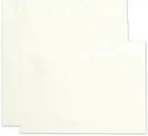 Survivor Tyvek Expansion Mailer 10 x 15 x 2 White 18lb 100/Carton R4450