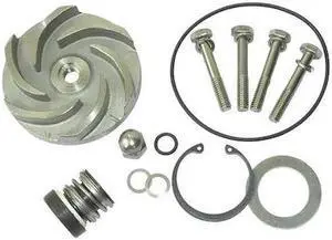 DAYTON 21TG90 Pump Repair Kit,For 2ZWY9A