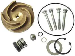 DAYTON 21TG83 Pump Repair Kit,For 2ZWY2A