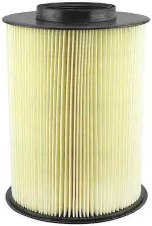 BALDWIN FILTERS RS4450 Air Filter,6-3/16 x 8-5/16 in.