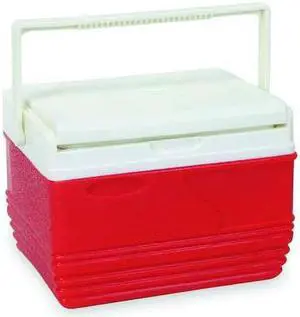 ZORO SELECT 4AAP9 11.6 qt Personal Cooler, Plastic, Up to 12 hr Ice Retention,