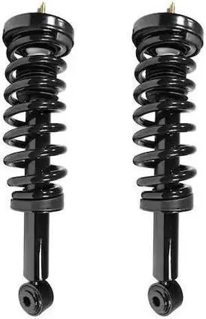 UNITY 2-11306-001 2-11306-001 Front Complete Strut Assembly Kit
