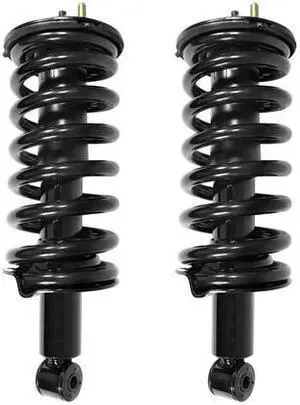 UNITY 2-11300-001 2-11300-001 Front Complete Strut Assembly Kit