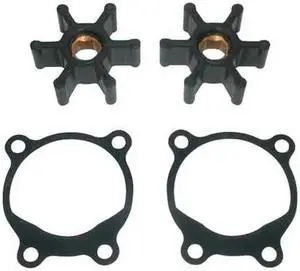 Pump Repair Kit