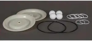 DAYTON 22A623 Pump Repair Kit,Fluid,11/16 In.