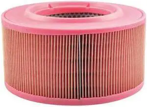 BALDWIN FILTERS PA3941 Air Filter,6-1/2 x 3-21/32 in.