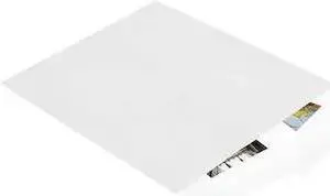PARTNERS BRAND BGM105W Flat Merchandise Bags, 12" x 15", White, PK1000