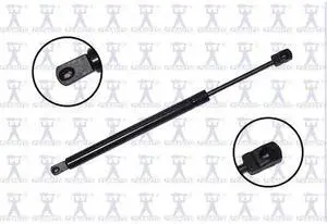 FCS STRUTS 84155 Lift Support Hood, 84155