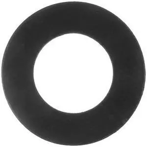 ZORO SELECT BULK-FG-343 Raised Face Viton Flange Gasket for 2" Pipe, 1/8"